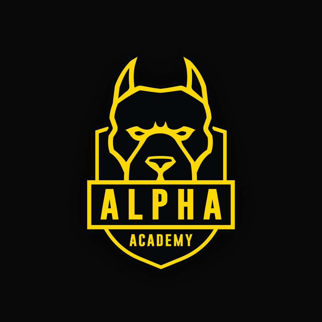 ALPHA ACADEMY (monthly subscription)